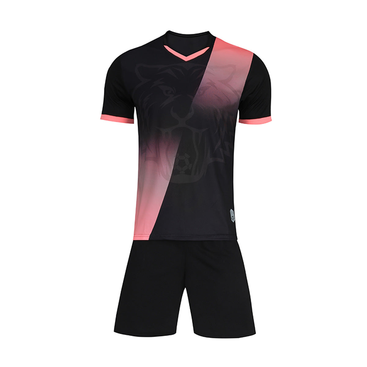 Lion SS Youth Football Teamwear Set